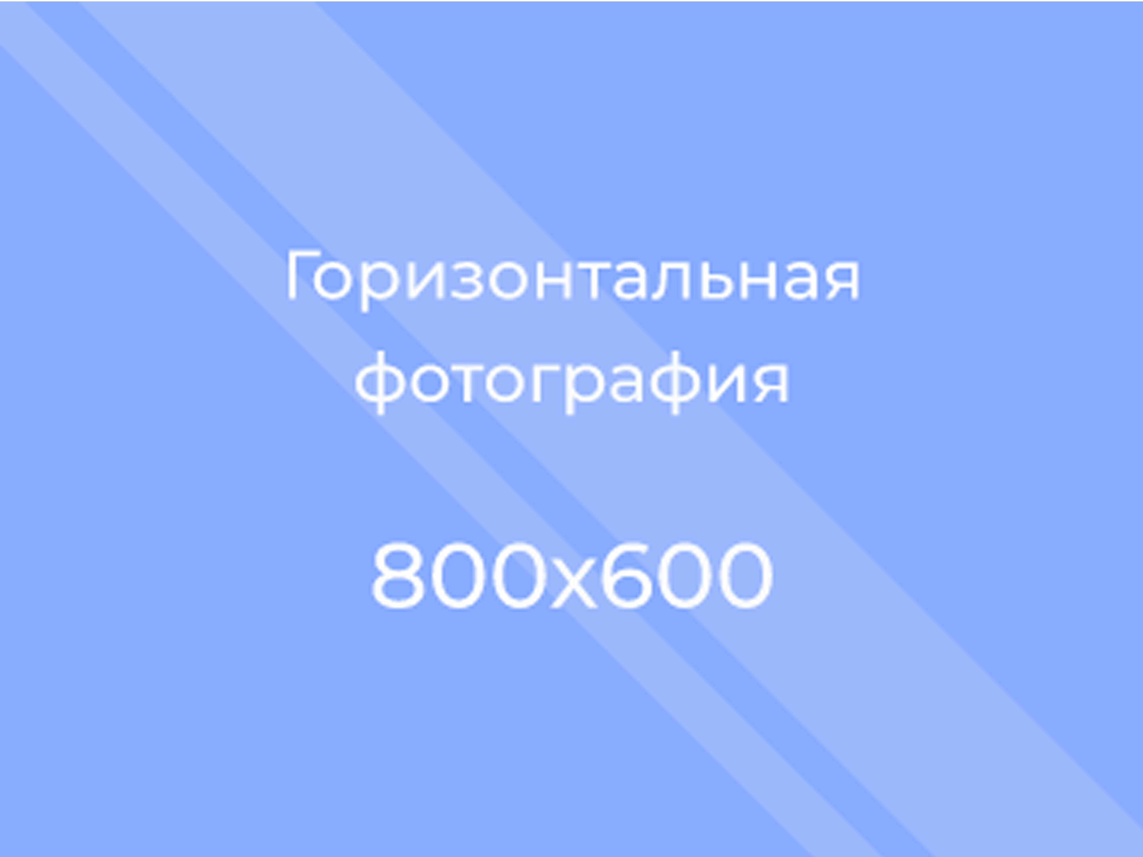 Точка роста.
